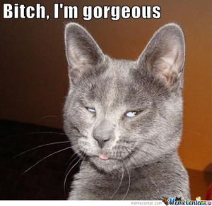 bitch-im-gorgeous_o_298810