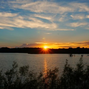 Michigan Activity Pass