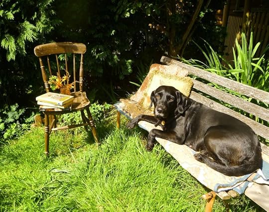 In the studio garden, summer 2015