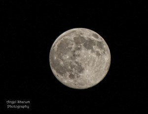 moon 2 small edit