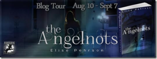 The Angelnots Banner 851 x 315_thumb