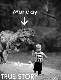 Monday true story