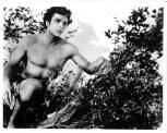 buster crabbe tarzan