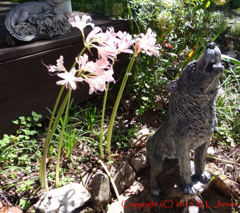 Wolf, Surprise Lillies, Naked Ladies, The Wolf's Moon, Patrick Jones, Audiobook