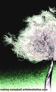 scatter