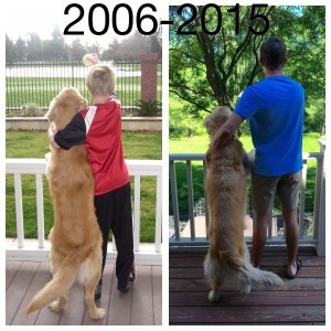 Baby Boy and his dog, 2006 and 2015