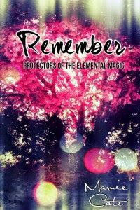 Remember Protectors of the Elemental Magic