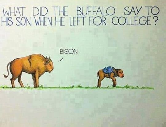 bison