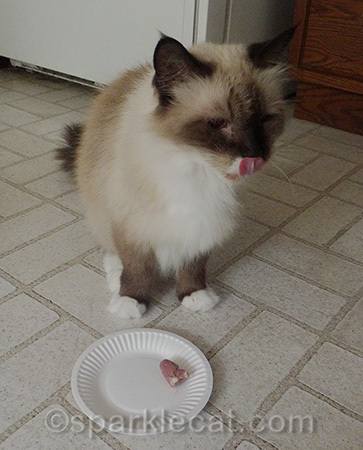 In spite of the tongue she does not look as excited as me