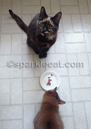 You gonna eat that? No?