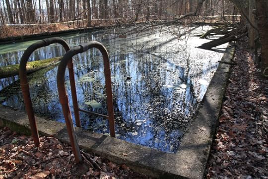 No Diving Allowed - Abandoned Swimming Pools | Lis'Anne Harris