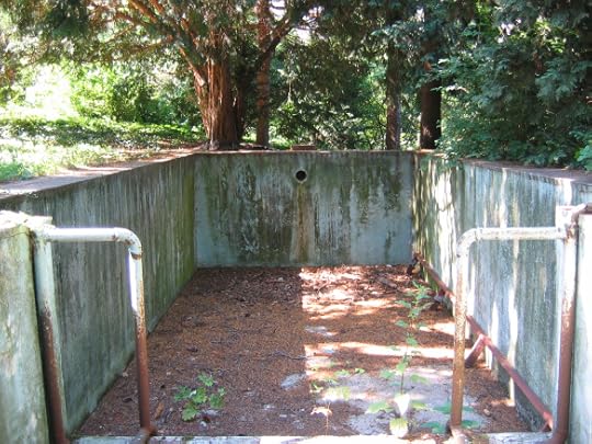 No Diving Allowed - Abandoned Swimming Pools | Lis'Anne Harris