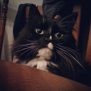 Bella