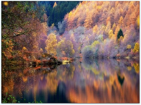 Photograph Autumn at Loch Tummel by eric niven on 500px