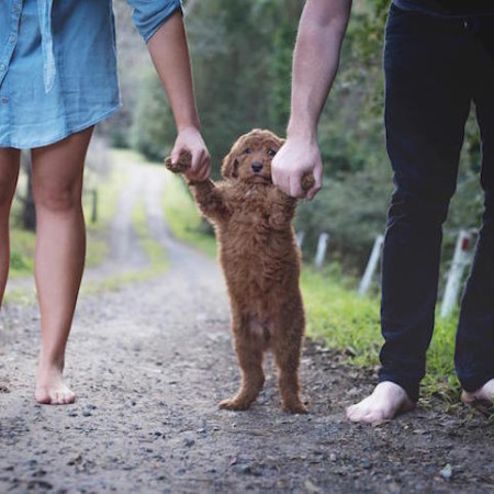 Elisha Minnette Photography