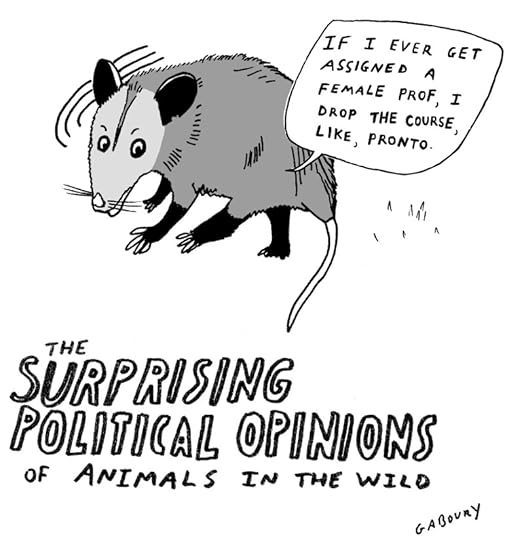 gaboury_opossum