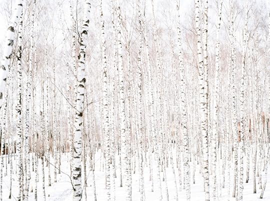 Photo by Waldemar Salesski