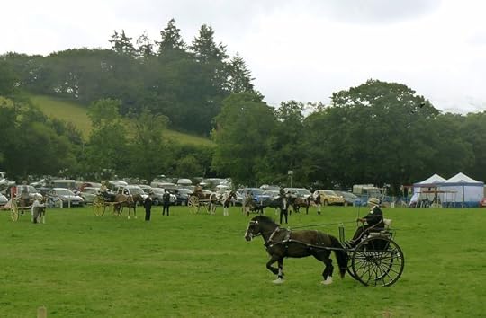 Carriage-driving competition