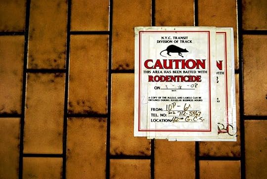 File:Rats in the NYC Subway 2 vc.jpg