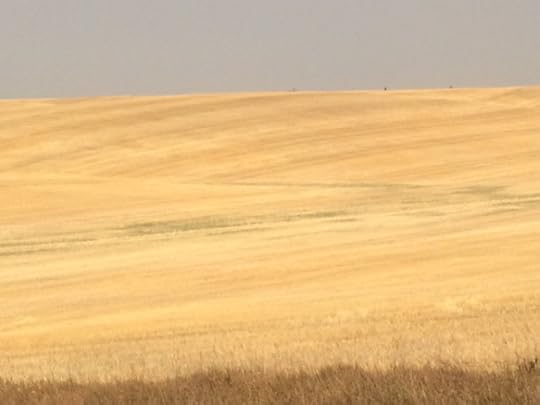 IMG_3599