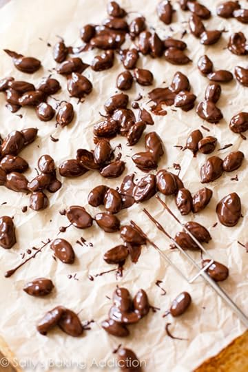 How to make Dark Chocolate Sea Salt Almonds-- a chocolate treat to feel good about! sallysbakingaddiction.com