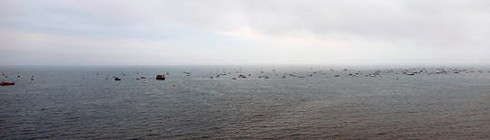 Bay7