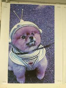 Episode 1: Space dog!