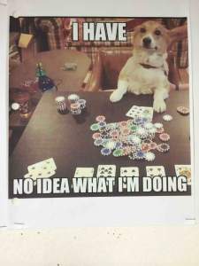 Episode 4: Casino dog!