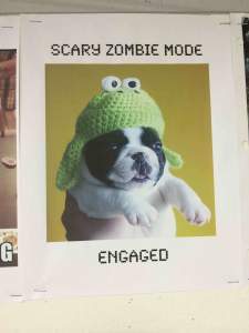 Episode 5: Zombie dog!