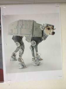 Episode 7: Robot dog!