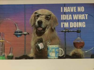 Episode 10: Mad scientist dog!