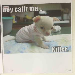 Episode 12: Killer!