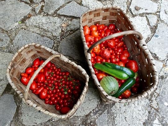 Tomatoes, Elizabeth Minchilli in Rome