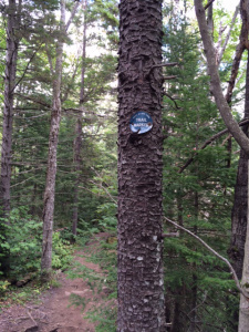 TrailMarker