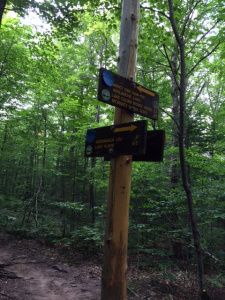 TrailSigns
