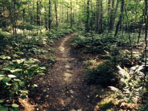 CarryTrailSlang:LongPond