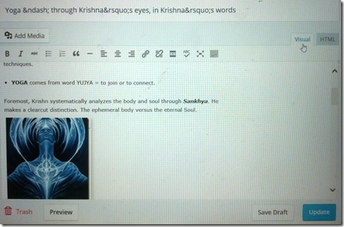 Wordpress blog edit in Visual format