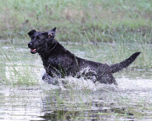 14 Things that Make Me Smile