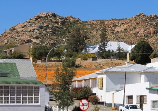 Springbok, Northern Cape, with fields of orange Namaqualand daisies between the houses and the hills.