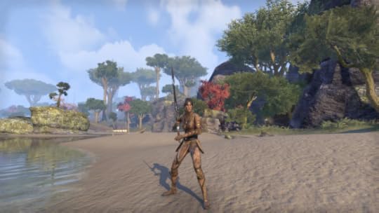 My sorcerer in Elder Scrolls Online