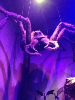 aragog