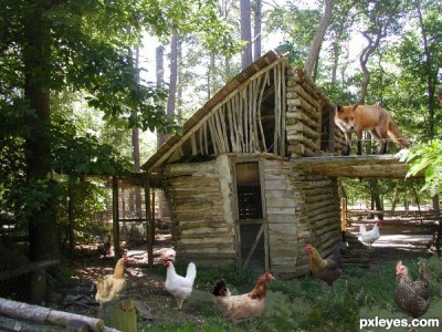 Fox-guarding-the-hen-house-512bf2d4bec97-400x300