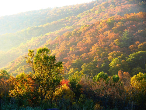 The Alleghenies, the Virginia colonial frontier