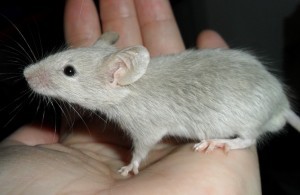 photo by Martha Sexton