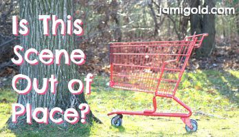 Shopping cart in the woods with text: Is This Scene Out of Place?
