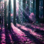 Fantasy Landscape. Mysterious Old Forest