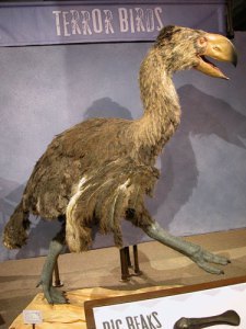 Which is good, because this looks too cool to be a terrorizer of beets and palm fronds.