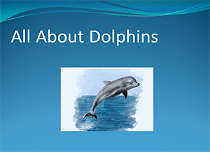 Polly Holyoke School Presentation