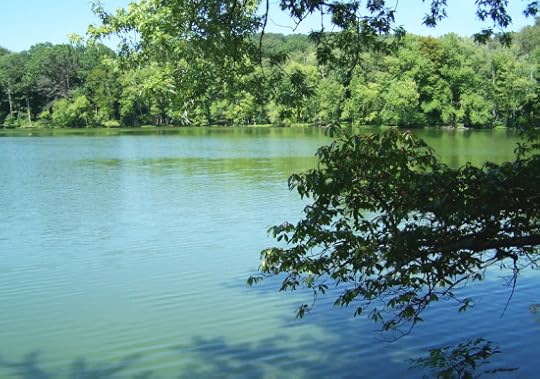 Radnor Lake 3