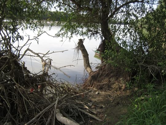 Kovilj: True Detective-worthy?